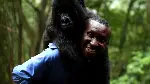 비룽가 포스터 (Virunga poster)
