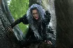 숲속으로 포스터 (Into the Woods poster)