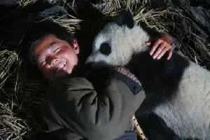 팬더의 집으로 가는 길 포스터 (Touch of the Panda poster)
