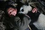 팬더의 집으로 가는 길 포스터 (Touch of the Panda poster)