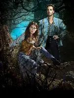 숲속으로 포스터 (Into the Woods poster)