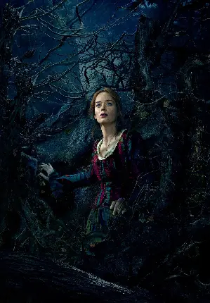 숲속으로 포스터 (Into the Woods poster)