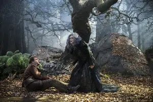 숲속으로 포스터 (Into the Woods poster)