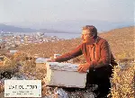 비키퍼 포스터 (The Beekeeper  poster)