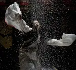 게이샤의 추억 포스터 (Memoirs of a Geisha poster)