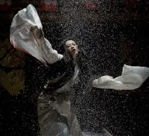 게이샤의 추억 포스터 (Memoirs of a Geisha poster)