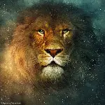 나니아 연대기-사자,마녀 그리고 옷장 포스터 (The Chronicles of Narnia: The Lion, the Witch & the Wardrobe poster)
