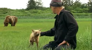 그리즐리 맨 포스터 (Grizzly Man poster)