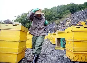 지구를 지켜라 포스터 (Save the Green Planet poster)