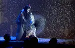 게이샤의 추억 포스터 (Memoirs of a Geisha poster)