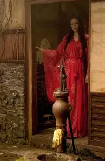 게이샤의 추억 포스터 (Memoirs of a Geisha poster)