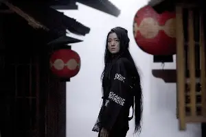 게이샤의 추억 포스터 (Memoirs of a Geisha poster)