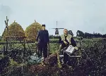 열정의 랩소디 포스터 (Lust For Life poster)