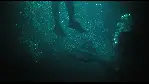 님프, 피의 요정 포스터 (Killer Mermaid poster)
