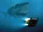 샤크 씨커 포스터 (Shark Attack 3 : Megalodon poster)