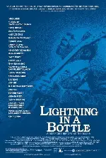 라이트닝 인 어 보틀 포스터 (Lightning In A Bottle poster)