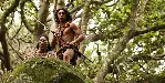 데드랜드 포스터 (The Dead Lands poster)