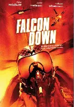 팔콘 다운 포스터 (Falcon Down poster)