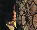 벌집의 정령 포스터 (The Spirit Of The Beehive poster)