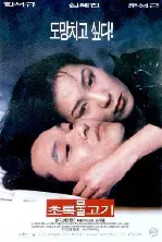 초록물고기 포스터 (Green Fish poster)