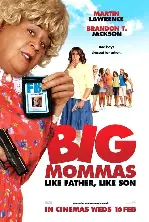빅 마마 하우스 : 라이크 파더, 라이크 선 포스터 (Big Mommas: Like Father, Like Son poster)