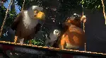 잠베지아: 신비한 나무섬의 비밀 포스터 (Zambezia poster)