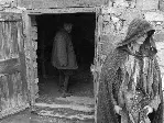 토리노의 말 포스터 (The Turin Horse poster)