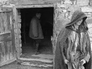 토리노의 말 포스터 (The Turin Horse poster)