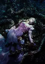 숲속으로 포스터 (Into the Woods poster)