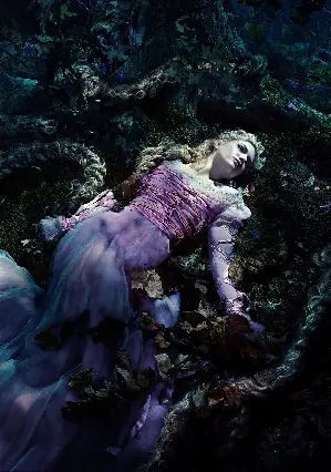숲속으로 포스터 (Into the Woods poster)