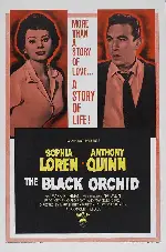 검은 난초 포스터 (The Black Orchid poster)