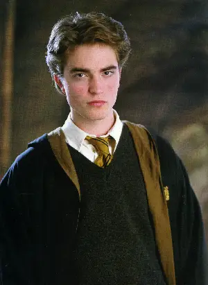 해리 포터와 불의 잔 포스터 (Harry Potter and the Goblet of Fire poster)