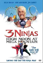 헐크 호간과 쓰리 닌자 포스터 (3 Ninjas: High Noon At Mega Mountain poster)
