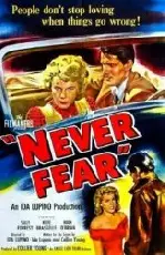 두려움 없이  포스터 (Never Fear poster)