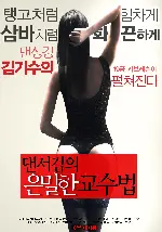 댄서김의 은밀한 교수법 포스터 ( poster)