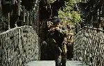팬더의 집으로 가는 길 포스터 (Touch of the Panda poster)