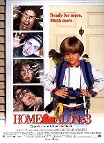 나 홀로 집에 3  포스터 (Home Alone 3 poster)