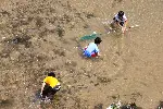모래가 흐르는 강 포스터 (Following Sand River poster)