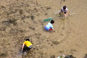 모래가 흐르는 강 포스터 (Following Sand River poster)