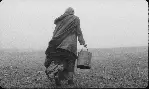 토리노의 말 포스터 (The Turin Horse poster)