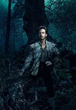 숲속으로 포스터 (Into the Woods poster)