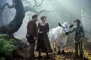 숲속으로 포스터 (Into the Woods poster)
