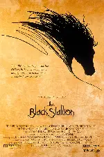 검은 종마 포스터 (The Black Stallion poster)