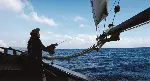 캐리비안의 해적 : 블랙펄의 저주 포스터 (Pirates of the Caribbean: The Curse of the Black Pearl  poster)