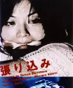 은밀한 감시구역 포스터 (Stake Out poster)