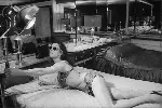 닥터 스트레인지러브 포스터 (Dr. Strangelove or : How I Learned to Stop Worrying and Love the Bomb poster)
