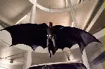 다크 나이트 포스터 (The Dark Knight poster)