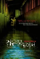 검은 물밑에서 포스터 (Dark Water poster)