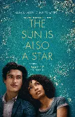 운명의 하루 포스터 (The Sun Is Also a Star poster)
