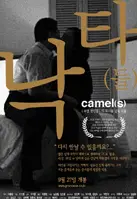 낙타(들) 포스터 (Camel(s) poster)